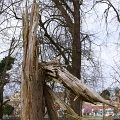 2010-03-conflans-OK (22)